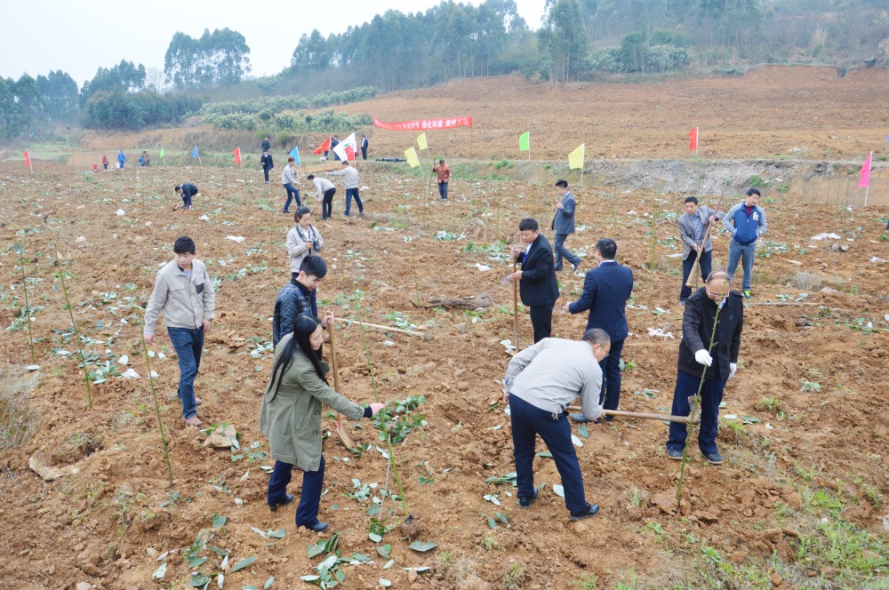 2016年3月港澳免费资料大全开展植树活动